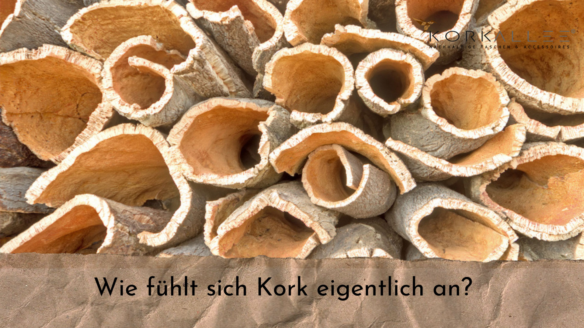 Wie fühlt sich Kork eigentlich an? 