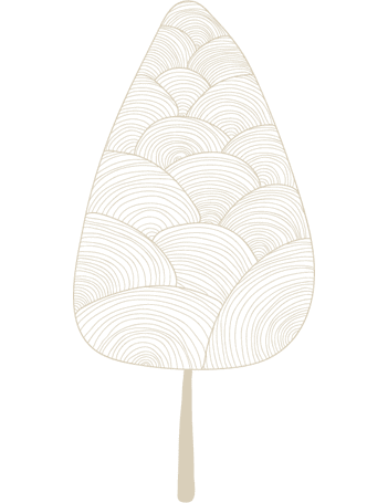 ecology image