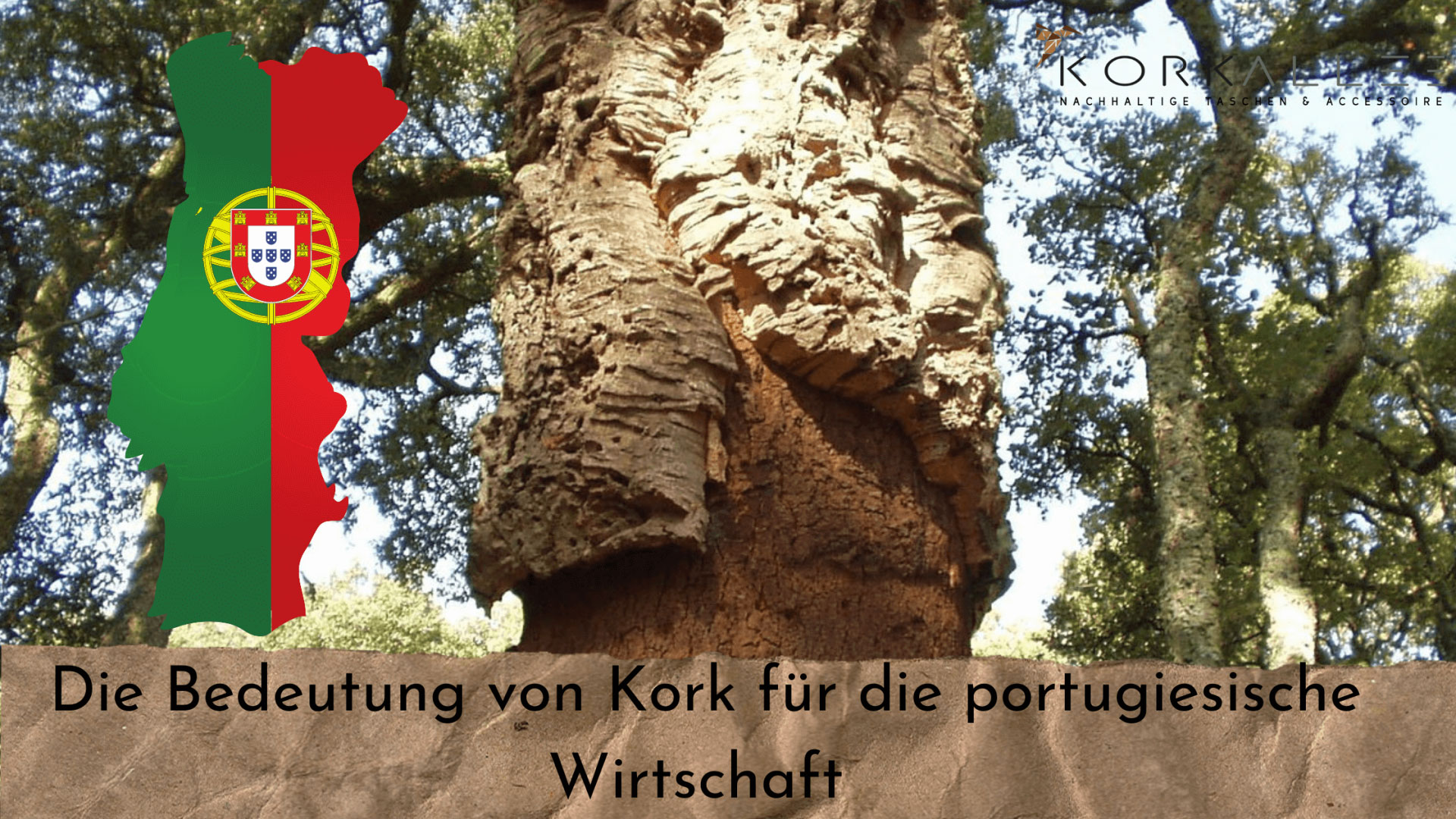 Die Bedeutung von Kork für die portugiesische Wirtschaft 