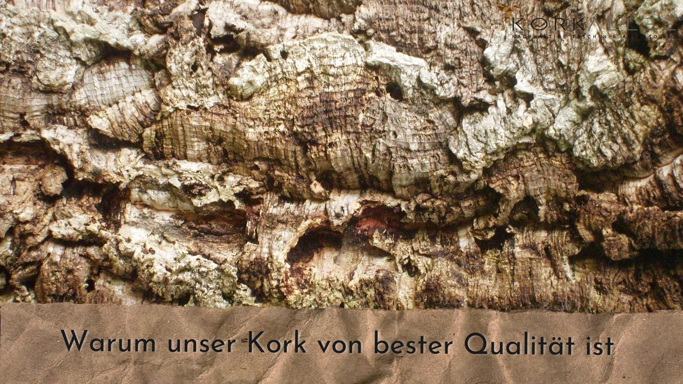 Warum unser Kork die beste Qualität hat 