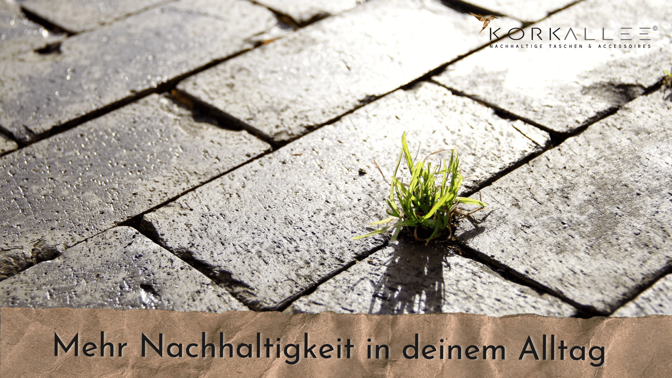 5 Dinge, die du sofort umsetzen kannst für mehr Nachhaltigkeit in deinem Alltag