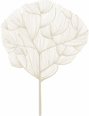 ecology image