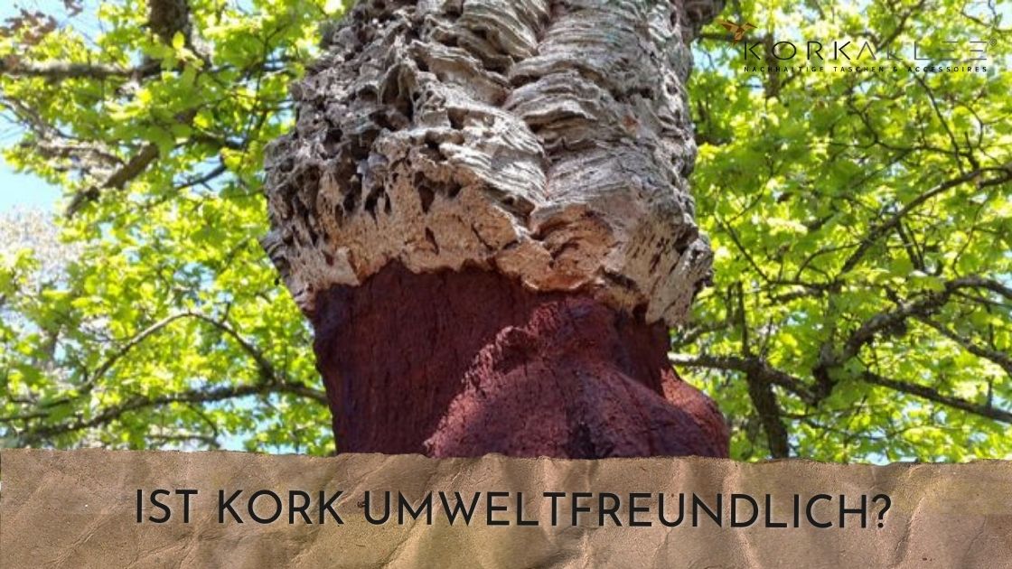 Ist Kork umweltfreundlich? Und ob! Natürlich, erneuerbar und recyclebar.