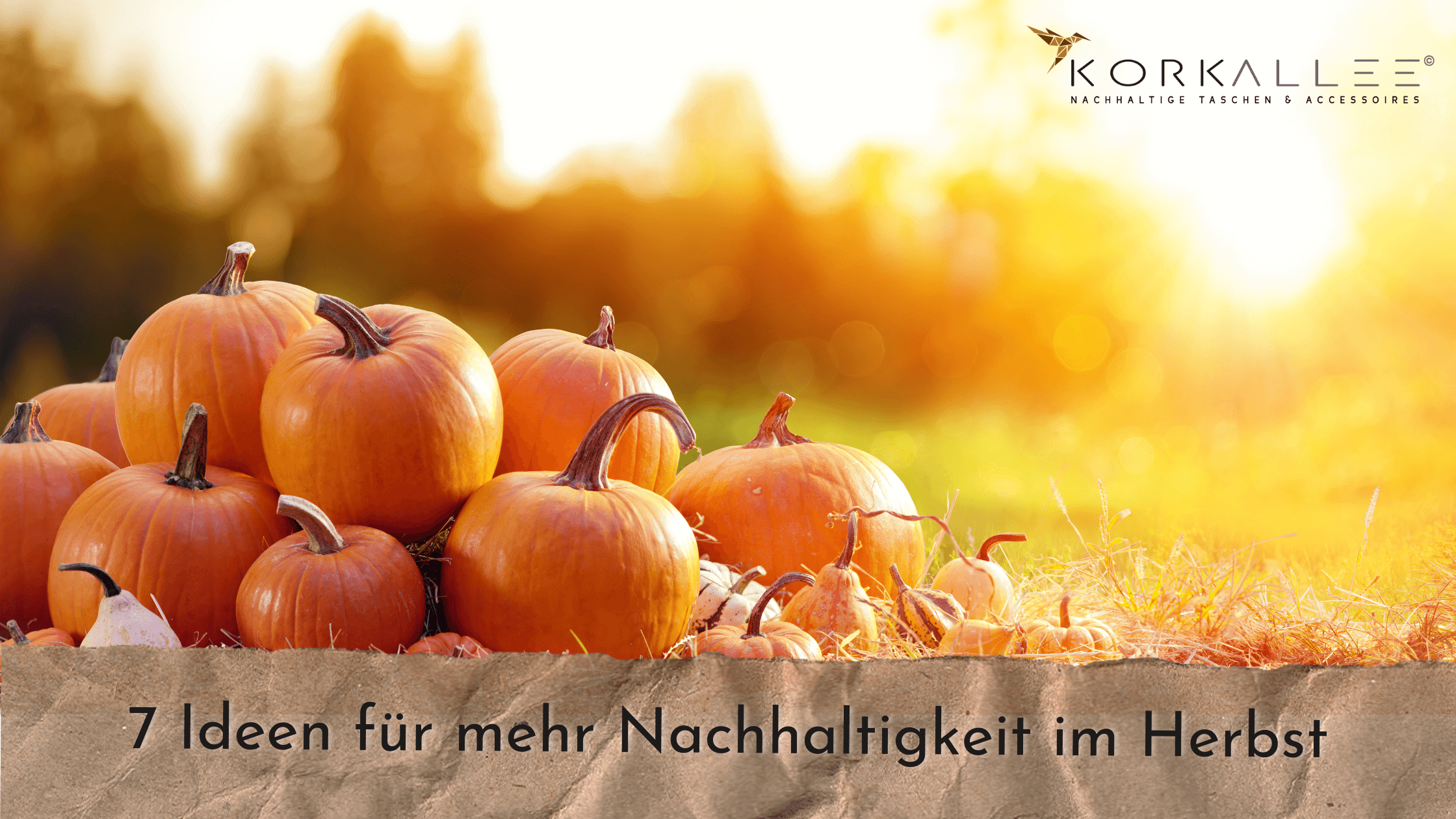 7 Ideen für mehr Nachhaltigkeit im Herbst und zur Halloween-Zeit 