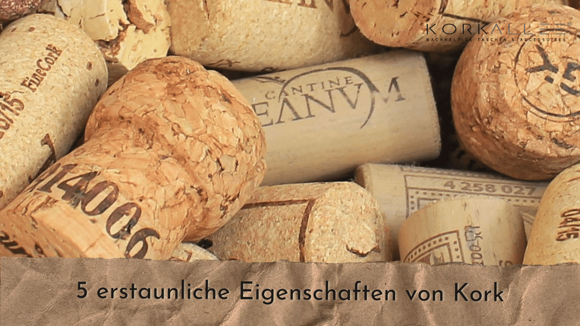 5 erstaunliche Eigenschaften von Korkprodukten